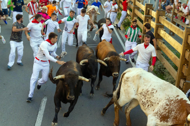 Fotos del quinto encierro de las fiestas de Tudela
