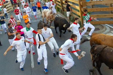 Fotos del quinto encierro de las fiestas de Tudela