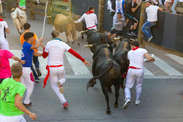 Fotos del quinto encierro de las fiestas de Tudela
