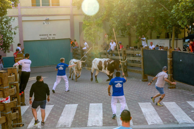 Fotos del quinto encierro de las fiestas de Tudela