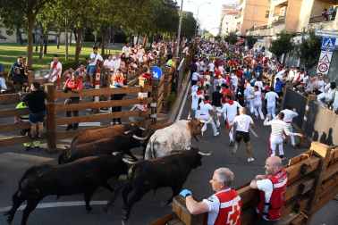 Fotos del quinto encierro de las fiestas de Tudela