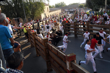 Fotos del quinto encierro de las fiestas de Tudela