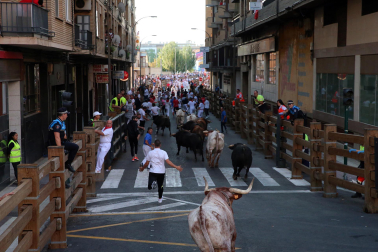 Fotos del quinto encierro de las fiestas de Tudela