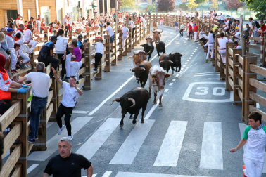 Fotos del quinto encierro de las fiestas de Tudela