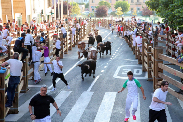 Fotos del quinto encierro de las fiestas de Tudela