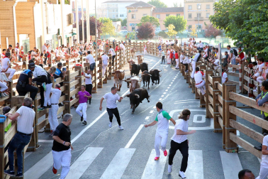 Fotos del quinto encierro de las fiestas de Tudela