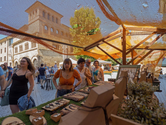 XXIV Semana Medieval de Estella.