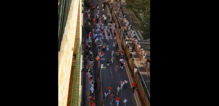 El sexto encierro de las fiestas de Tudela, a su paso pro la avenida Zaragoza