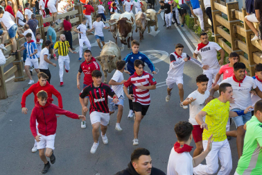 Fotos del sexto encierro de fiestas de Tudela 2023.