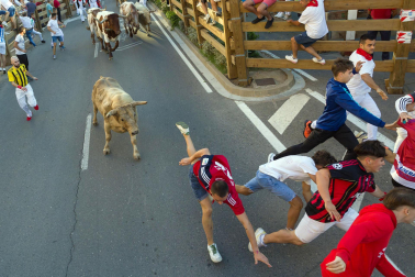 Fotos del sexto encierro de fiestas de Tudela 2023.
