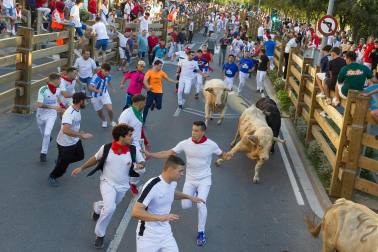 Fotos del sexto encierro de fiestas de Tudela 2023.