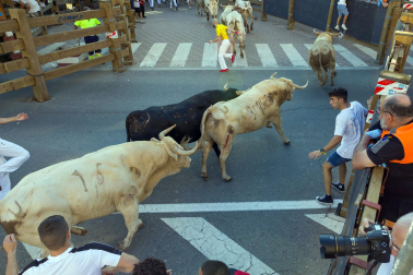 Fotos del sexto encierro de fiestas de Tudela 2023.