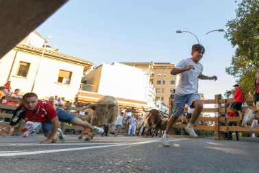 Fotos del sexto encierro de fiestas de Tudela 2023.