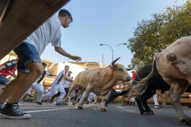 Fotos del sexto encierro de fiestas de Tudela 2023.