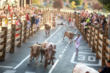 Fotos del sexto encierro de fiestas de Tudela 2023.