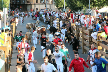 Fotos del sexto encierro de fiestas de Tudela 2023.