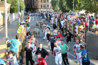 Fotos del sexto encierro de fiestas de Tudela 2023.