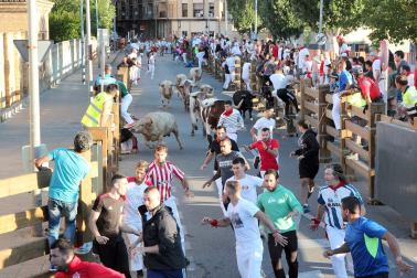 Fotos del sexto encierro de fiestas de Tudela 2023.