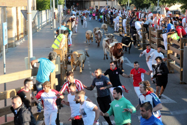 Fotos del sexto encierro de fiestas de Tudela 2023.