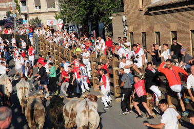 Fotos del sexto encierro de fiestas de Tudela 2023.