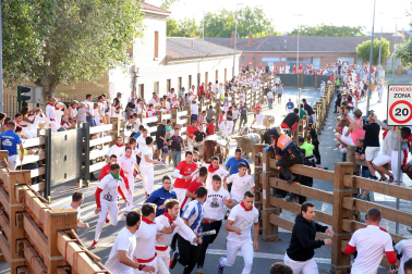 Fotos del sexto encierro de fiestas de Tudela 2023.