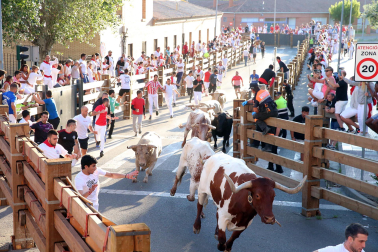 Fotos del sexto encierro de fiestas de Tudela 2023.