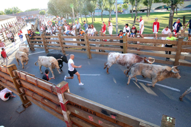 Fotos del sexto encierro de fiestas de Tudela 2023.