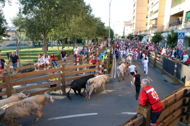 Fotos del sexto encierro de fiestas de Tudela 2023.