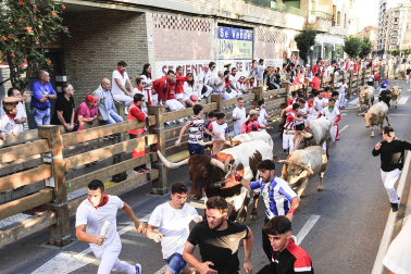 Fotos del sexto encierro de fiestas de Tudela 2023.