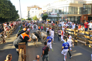 Fotos del sexto encierro de fiestas de Tudela 2023.