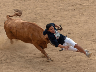 Imagen de las vaquillas en las fiestas de Estella./