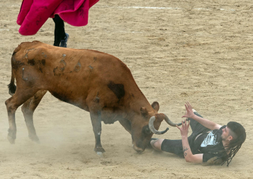 Imagen de las vaquillas en las fiestas de Estella./