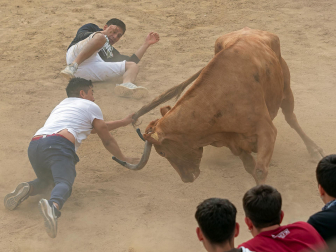 Imagen de las vaquillas en las fiestas de Estella./