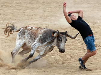 Imagen de las vaquillas en las fiestas de Estella./