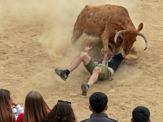 Imagen de las vaquillas en las fiestas de Estella./