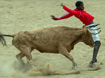 Imagen de las vaquillas en las fiestas de Estella./
