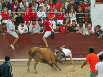 Imagen de las vaquillas en las fiestas de Estella./