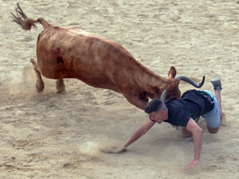 Imagen de las vaquillas en las fiestas de Estella./