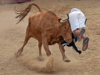 Imagen de las vaquillas en las fiestas de Estella./