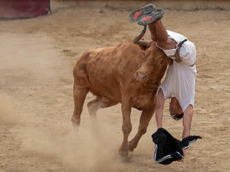 Imagen de las vaquillas en las fiestas de Estella./