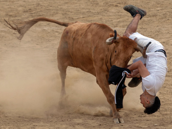 Imagen de las vaquillas en las fiestas de Estella./