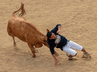 Imagen de las vaquillas en las fiestas de Estella./