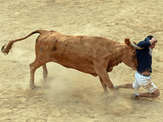 Imagen de las vaquillas en las fiestas de Estella./