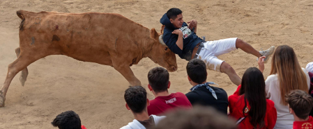 Imagen de las vaquillas en las fiestas de Estella./