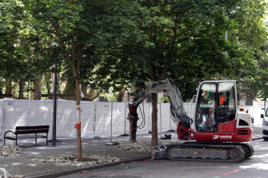 Fotos del comienzo de las obras del parking de la calle Sangüesa de Pamplona con la retirada de los árboles