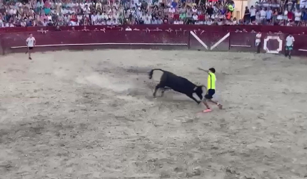 Una vaca coge y persigue al recortador tudelano Pablo Saso en Arguedas