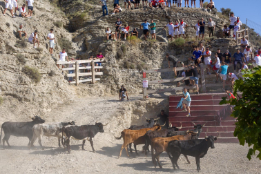 Encierro del Estrecho de Arguedas.