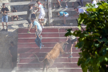 Encierro del Estrecho de Arguedas.