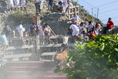 Encierro del Estrecho de Arguedas.