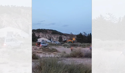 Toro capón suelto en Arguedas